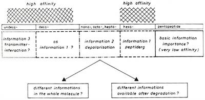 The role of Substance P in the defense line of the respiratory tract and neurological manifestations post COVID-19 infection